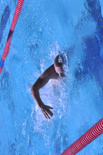 Enlarge photo 323