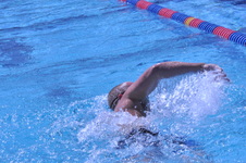 Enlarge photo 325