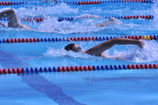 Enlarge photo 337