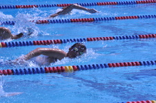 Enlarge photo 339