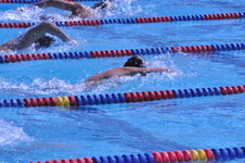 Enlarge photo 341