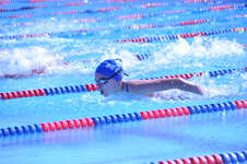 Enlarge photo 370