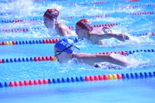Enlarge photo 374
