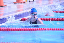 Enlarge photo 375