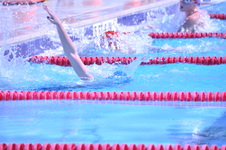 Enlarge photo 378