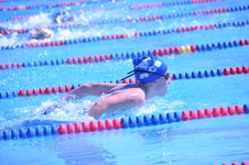 Enlarge photo 379