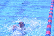 Enlarge photo 387