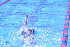 Enlarge photo 389
