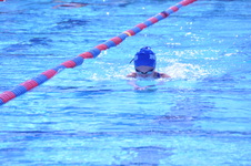 Enlarge photo 395