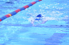 Enlarge photo 416