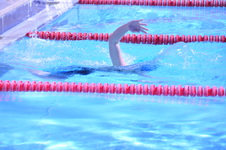 Enlarge photo 421