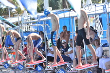 Enlarge photo 442
