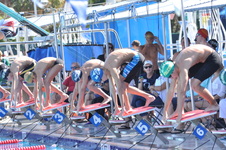 Enlarge photo 445
