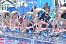 Enlarge photo 447