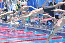 Enlarge photo 449