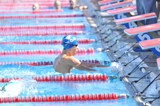 Enlarge photo 459