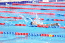 Enlarge photo 460