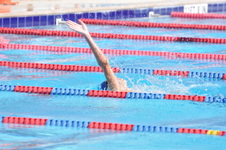 Enlarge photo 464
