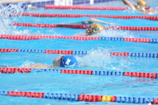 Enlarge photo 465