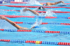 Enlarge photo 467