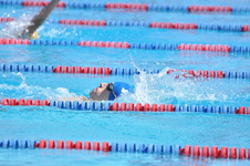 Enlarge photo 471