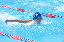 Enlarge photo 487