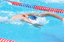 Enlarge photo 491
