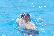 Enlarge photo 492