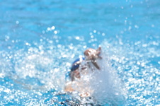 Enlarge photo 496