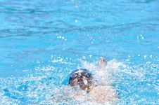 Enlarge photo 499