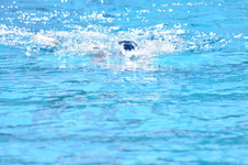 Enlarge photo 507