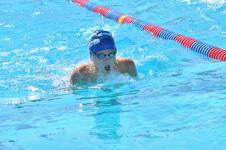 Enlarge photo 512