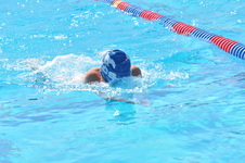 Enlarge photo 514