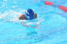 Enlarge photo 519