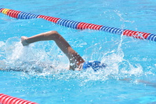 Enlarge photo 525