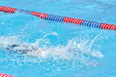 Enlarge photo 527