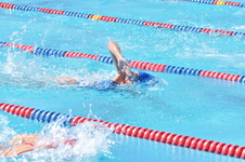 Enlarge photo 535
