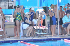 Enlarge photo 542