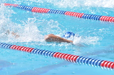 Enlarge photo 546
