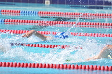 Enlarge photo 550