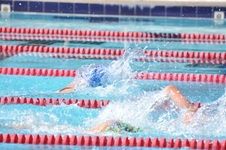 Enlarge photo 549
