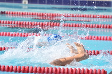 Enlarge photo 553