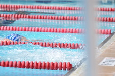 Enlarge photo 554