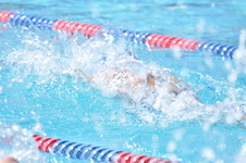 Enlarge photo 559