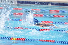 Enlarge photo 563