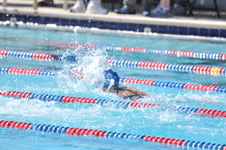 Enlarge photo 567