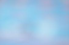 Enlarge photo 602