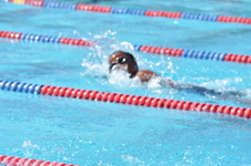 Enlarge photo 607