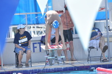 Enlarge photo 623
