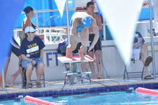 Enlarge photo 627